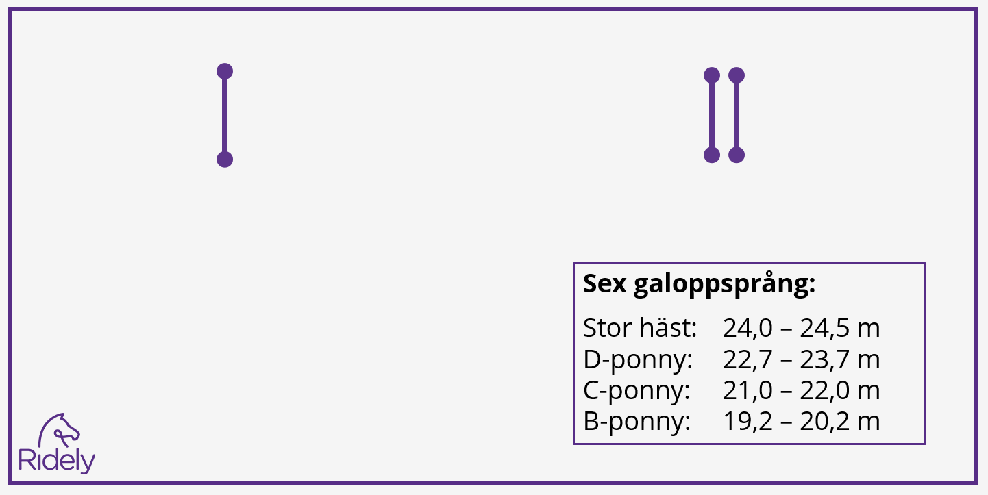 Sex galoppsprång mellan hindren