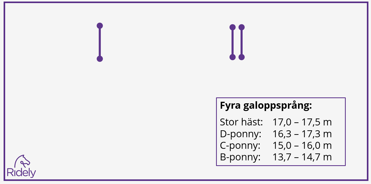 Fyra galoppsprång mellan hindren